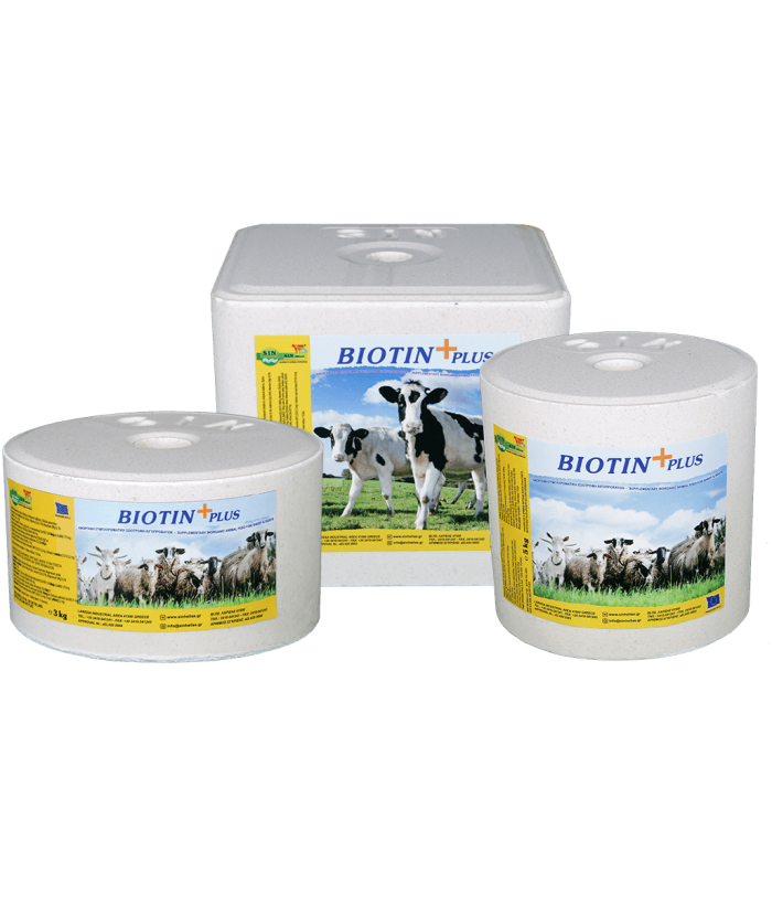 Biotine plus+ bloc bovins