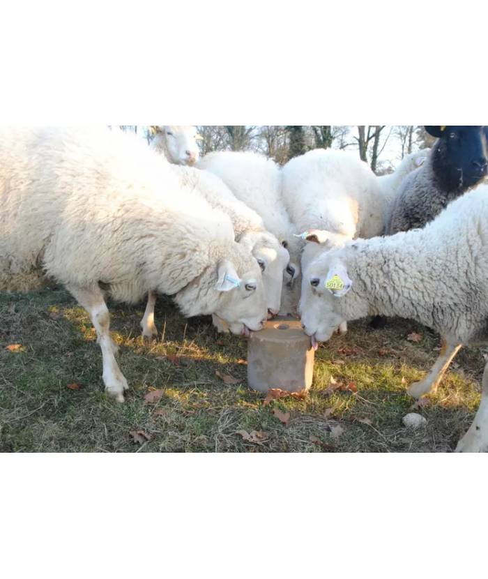 Bloc anti insect