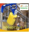 Brosse vache électrique gx