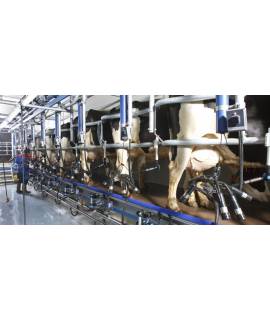 Seau inox 10 litres avec anse