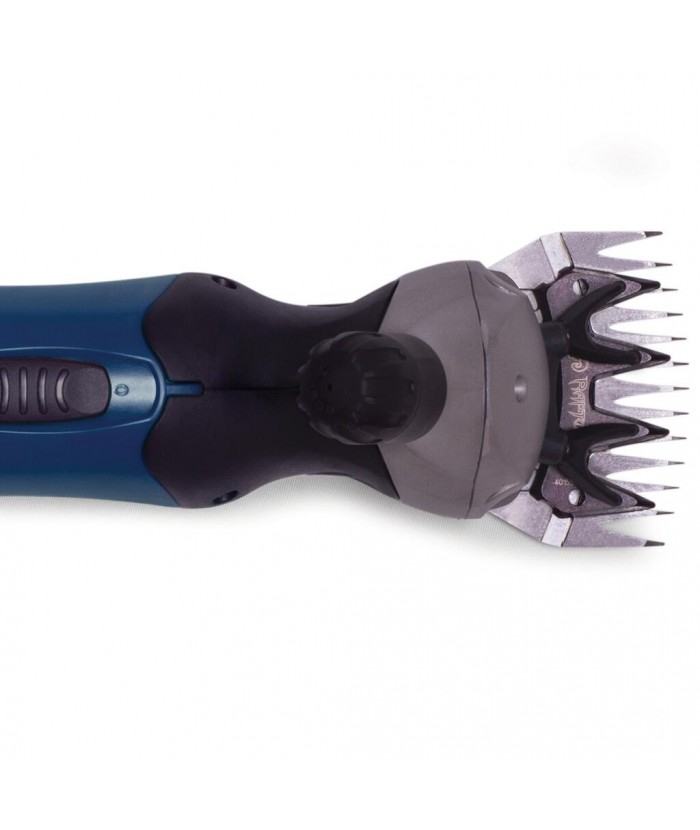 Tondeuse wahl moutons usa